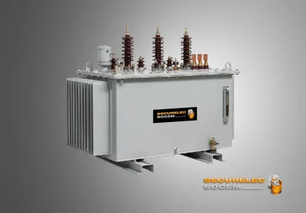 Transformateur de distribution huile triphasé de 100 à 400 kVA